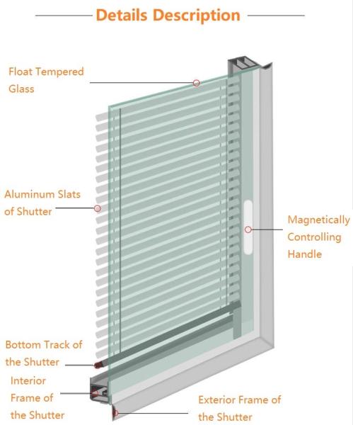 Quality Popular Energy Saving UV Blocking Blinds Magnetron Shutter Built In Shades for sale