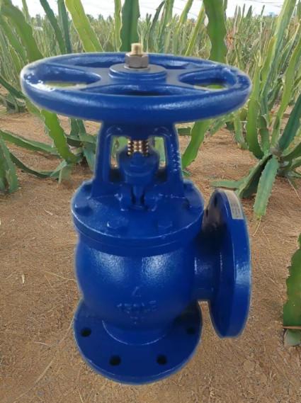 Quality ANSI angle valve for sale