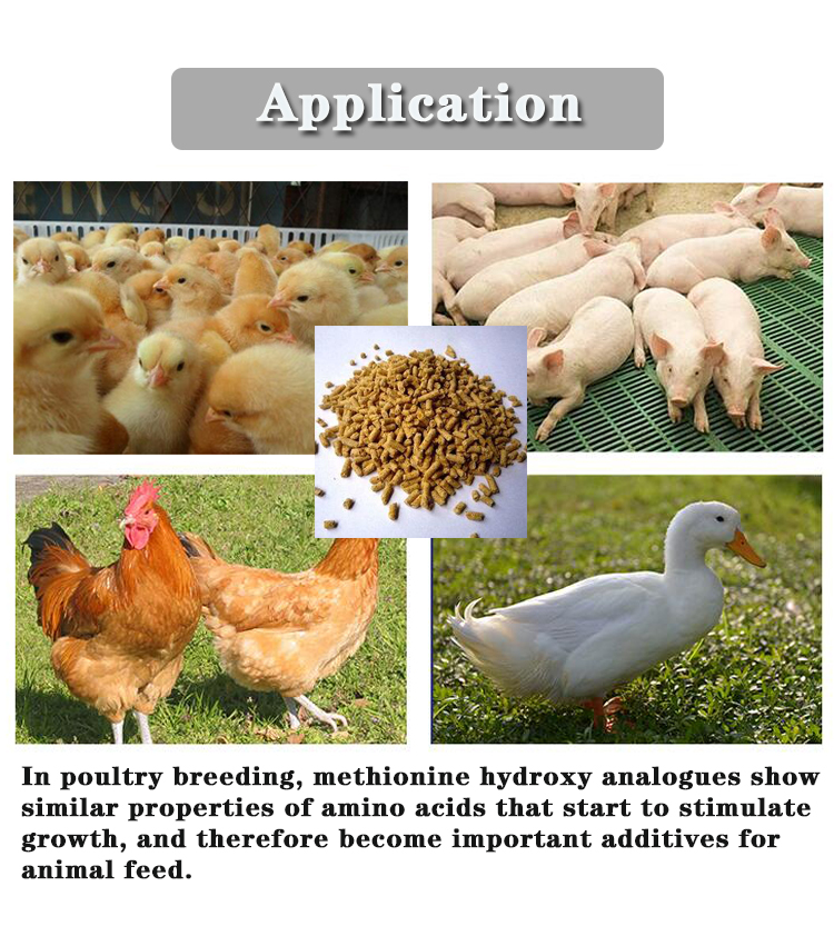 Promote Digestion and Growth of Animals with 88% Liquid Methionine Hydroxy Analog