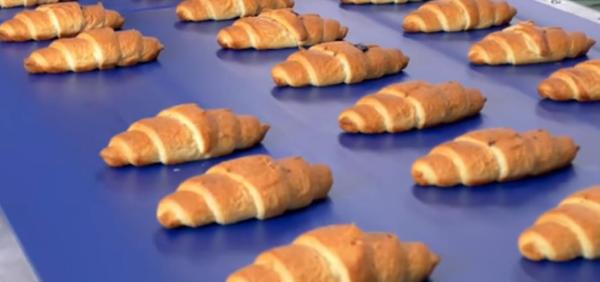 Quality OBESINE  PLC smart controller Croissant Bread Production Line ,pastry machinesequipments,Denmark Bread Machines for sale