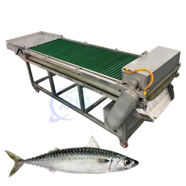 Quality Fully automatic fish cutting machine electric slicer equipment fresh and dried fish slicer fish slicer for sale