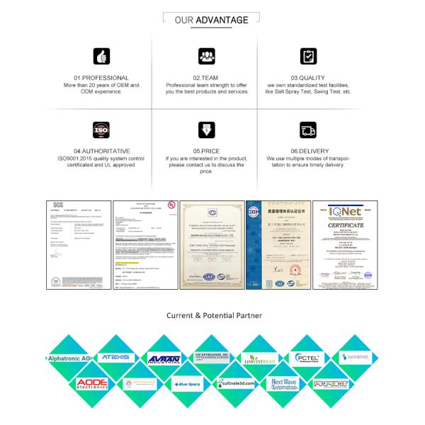 Custom Auto ISO Connector Male Female Harness for European Market Canbus Wire Assembly
