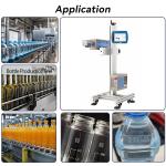 CO2 Industrial Laser Marking Machine with date marking for PET bottle