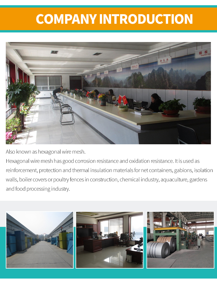 Low Price Exagonal Wire Mesh For Chicken And P[ets Box Stone Basket Hexagonal Woven Wire Mesh For Stone Loading