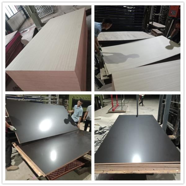 Quality Poplar Core Film Faced Plywood for sale