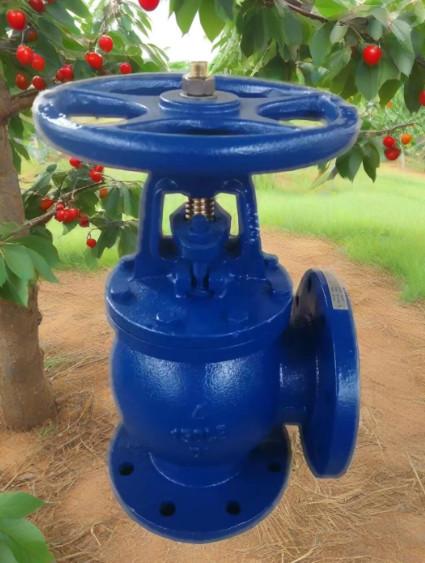 Quality ANSI angle valve for sale