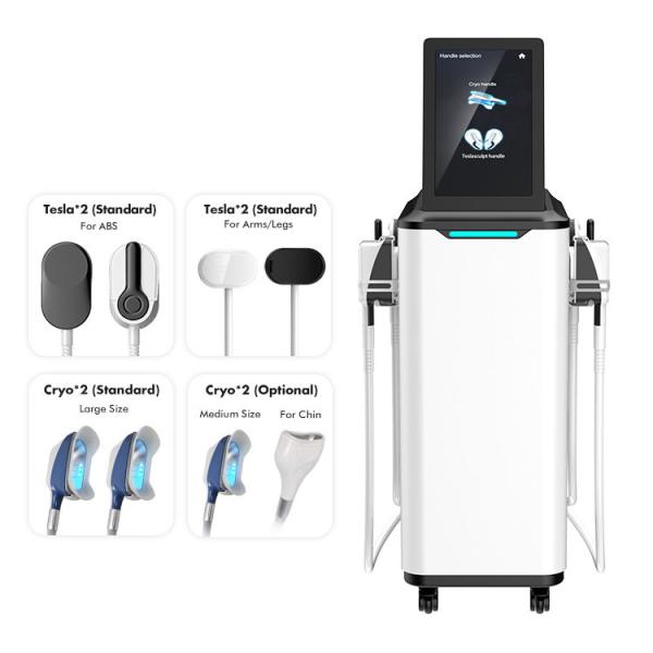 Quality 2 In 1 Cryotherapy Cryolipolysis Slimming Machine 360 Degree for sale