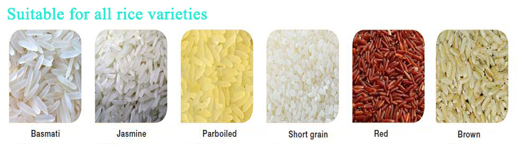 Small CCD Peanut Pulses Color Sorting Machine For RiceCustomizable