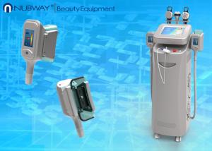 PROFESSIONAL &SAFE cooling slimming weight loss machine cryolipolysis fat reducing