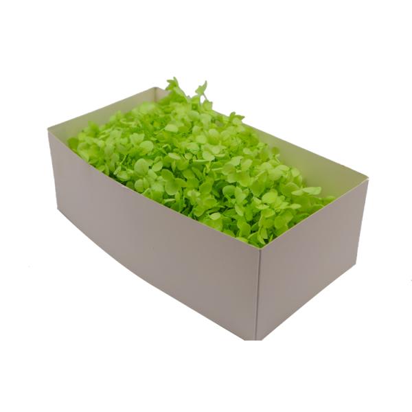 Fake Artificial Hydrangea Flowers , Real Touch Hydrangea Unique Gift Ideas