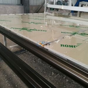 Single Screw Anti Oxidation 220V PP Sheet Making Machine