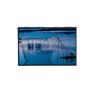 Buy cheap 12.1 TFT LCD Ips Display 1280x800 30Pin Tft Pc Monitor LVDS Interface product