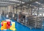 Fully Automatic Orange Juice Processing Line Machine For Citrus Processing