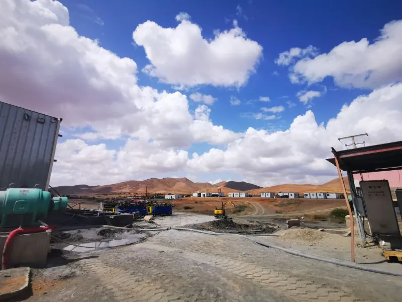 High Purity Carbon Depressant D481 in Mining Flotation Process from China