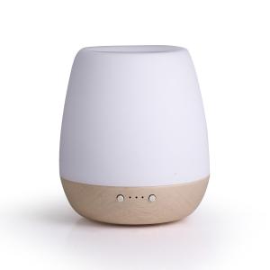 Ceramic 15ml/H Aromatherapy Essential Oil Diffuser 180ml