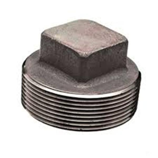 Quality ASTM A182 F316L Round head NPT thread plug for sale
