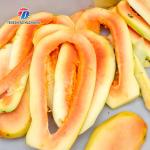 1.5KW 150KG Large slicing and slicing machine Root and stem vegetable cutting