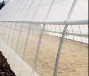 Buy cheap Malla Insect Protection Netting Mosquito Nets Windbreaks ISO 9001 Standard product