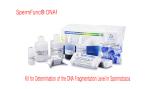 Economical Sperm DNA Fragmentation Test Kit For DNA Fragmentation Level