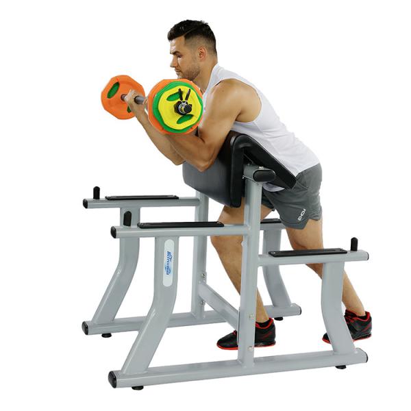 Quality High Quality Arm Curl Bench Hot Wholesale Gym Equipment for Biceps Curl Pin Load Selection Machines for sale