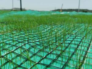 Buy cheap Nonwoven and Geogrid Reinforced Coconut Coir Mat for Vegetation Establishment product