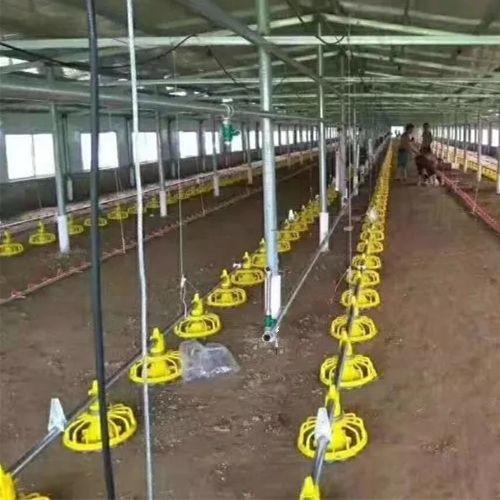 Quality Stainless Broiler Pan Feeding System Poultry Feed Distribution System for sale