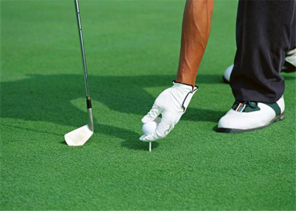 Quality Lawn Yard Display Custom Golf Artificial Grass Fake Turf Environment Friendly for sale