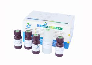 Kit to Evaluate Sperm DNA Integrity
