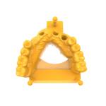 Model Photosensitive Resin Fast Curing Dental 3d Printing Resin