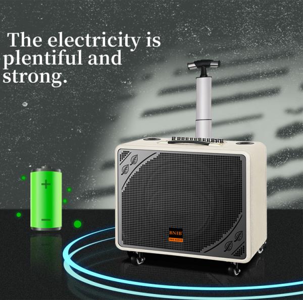 Quality Wood Rechargeable Trolley Speaker With Bluetooth USB TF AUX In for sale