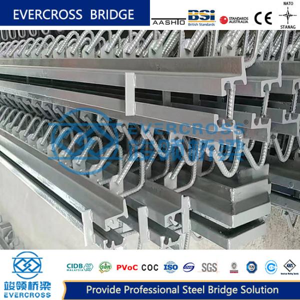 Quality Single Modular Expansion Joint For Bridge Custom Lengths for sale