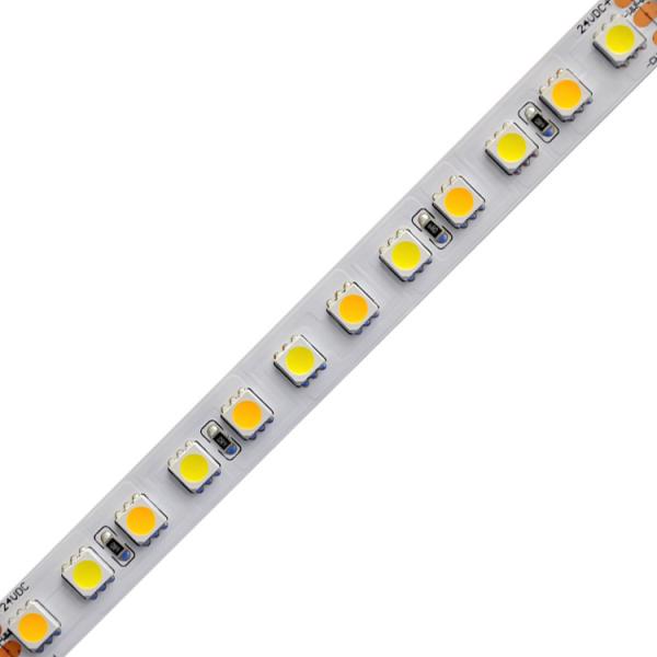 Dimmable Tunable White LED Strip Lights CCT Adjustable Color Temperature 2700K To 6500K 5050