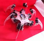 Diy Hexapod Robot Educational 6 Feet Bionic Hexapod Robot Spider