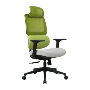 China Molded Foam Mesh Executive Chairs Ergonomic Mesh Executive Office Chair on sale