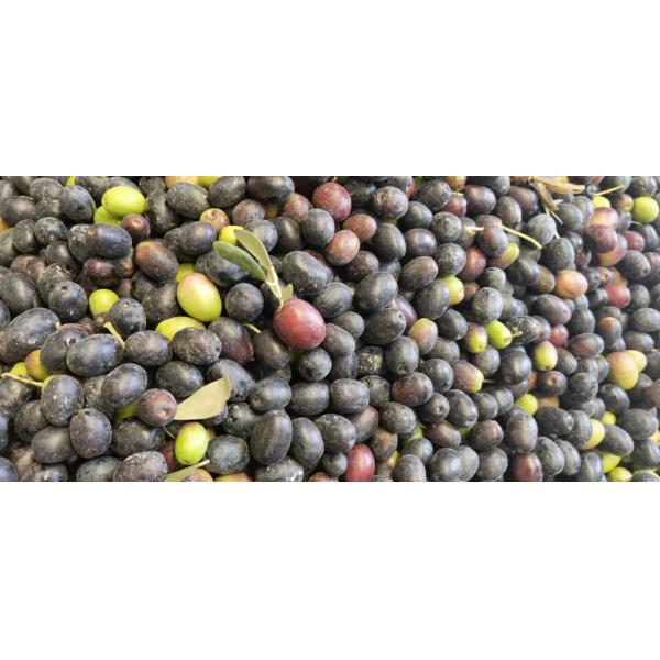 2000L/H Stainless Steel Disc Separator 3 Phase Centrifuge For Oil Refinery