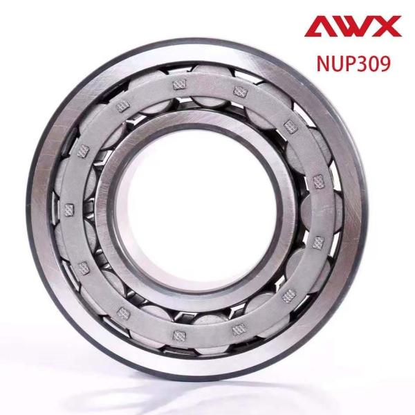 Quality Waterproof Steel Precise Bearings  P5 NUP300 Series Cylindrical Roller Bearings for sale