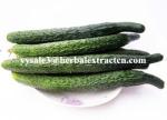 Cucumber Extract Enhance immunity, delaying aging Chinese Manufacturer Yongyuan
