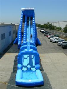 Buy cheap Inflatable Water Slide, hippo slide , inflatable giant palm slide product