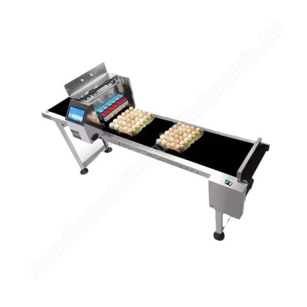 Automatic Egg Coding Machine Inject Printing Machine Small For Eggs Expiry Date