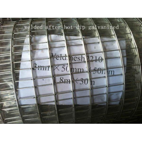Hot Dipped Galvanized Welded Wire Mesh, Thick Zinc Protection Layer