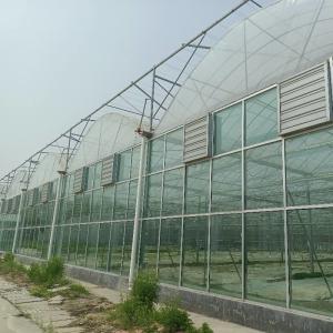 China Modular Agricultural Greenhouse For Sale Dome Roof Cover Film Side Cover Multi Span Cucumber Lettuce Growing on sale
