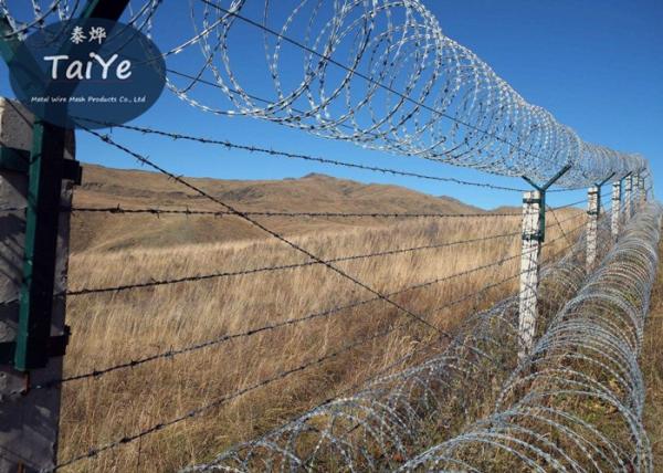Quality Industry Security Single Coil Razor Wire Hot Dipped Galvanized Razor Edge Wire for sale