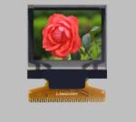Ssd1351 Oled Oled Dot Matrix Display , Oled Screen Module 1.37 Inch