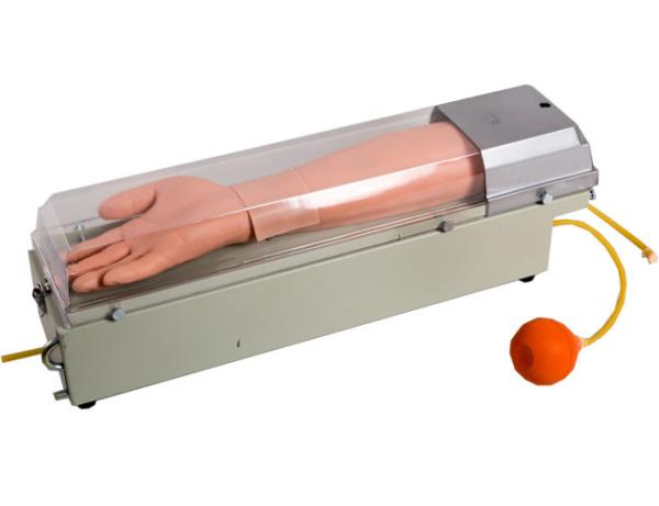 Quality Puncture Training PVC Rotatable Radial Artery Arm for sale