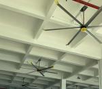 Natural Breeze System with Large Industrial HVLS Ceiling Fan