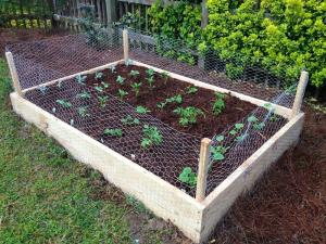 Buy cheap 1/2inch Gabions As Garden Fences Function As Boundary Fences Or Fence Cages product