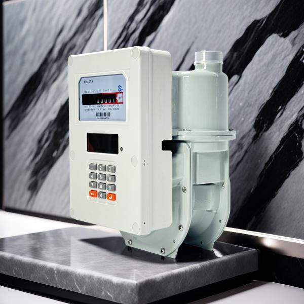 LAN / WAN Prepaid Gas Meter with Self-routering Meshwork Connection Type PLC To
