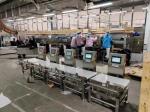 High Speed Weighing And Grading Machines For Electronics Error Free Sorting