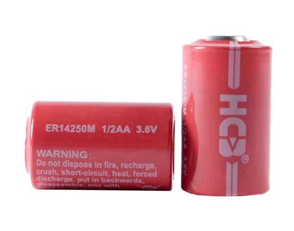 Quality Li-SOCl2 Battery , Lithium 3.6 V Battery UN CE Certification Non-rechargeable NB IOT LORA for sale