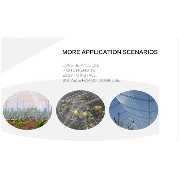 SRCP Raschel Warp Knitting Machine for Anti-Insect Nets